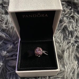 Brand New Pandora Charm